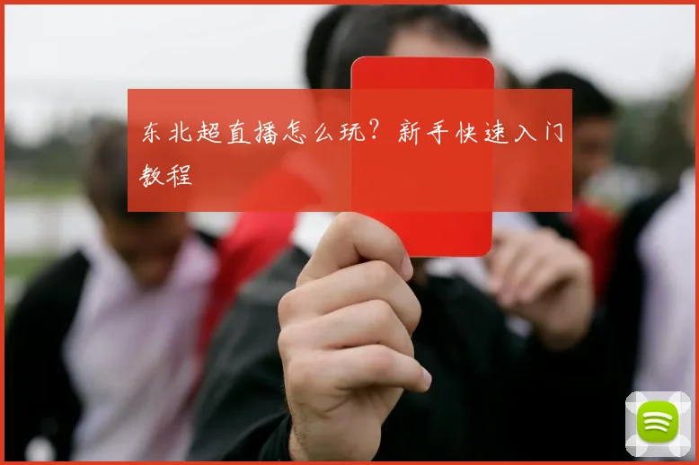 东北超直播怎么玩？新手快速入门教程