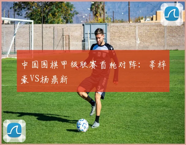 中国围棋甲级联赛首轮对阵：辜梓豪VS杨鼎新