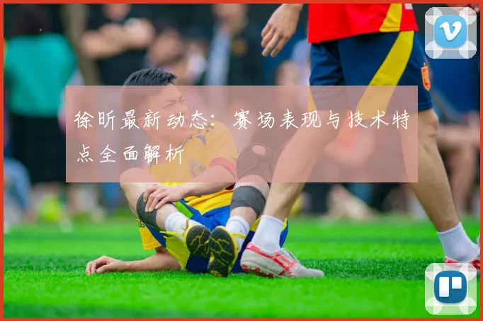 徐昕最新动态：赛场表现与技术特点全面解析