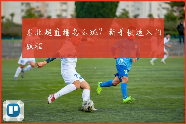 东北超直播怎么玩？新手快速入门教程
