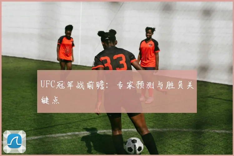 UFC冠军战前瞻:专家预测与胜负关键点