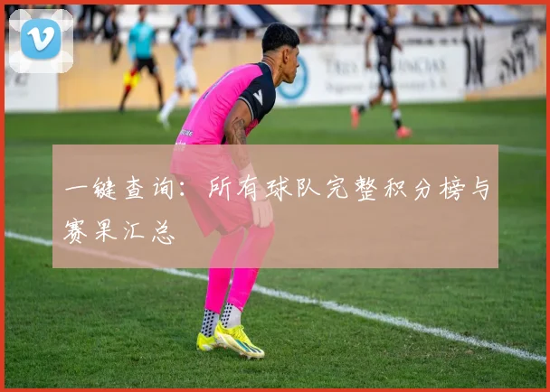一键查询:所有球队完整积分榜与赛果汇总