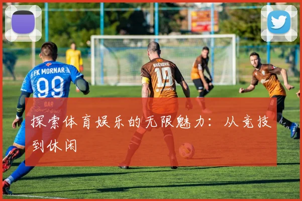 探索体育娱乐的无限魅力:从竞技到休闲