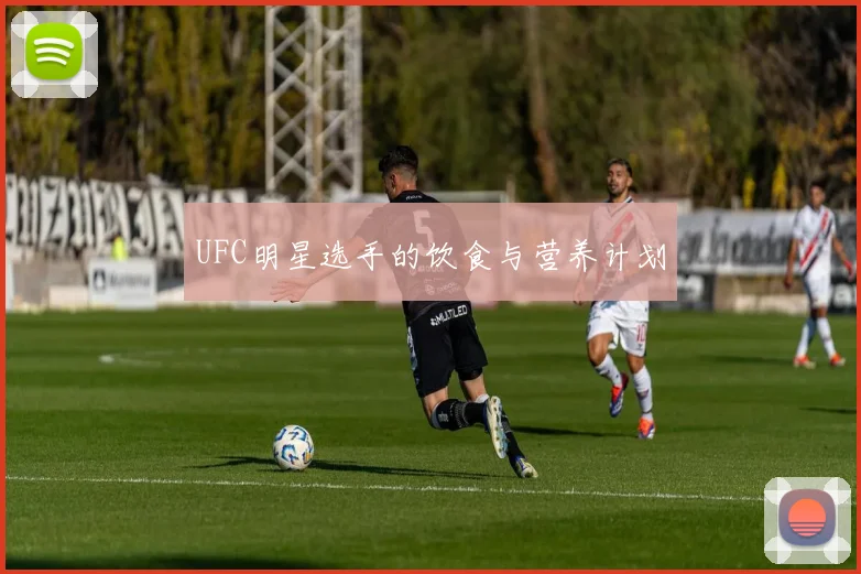 UFC明星选手的饮食与营养计划