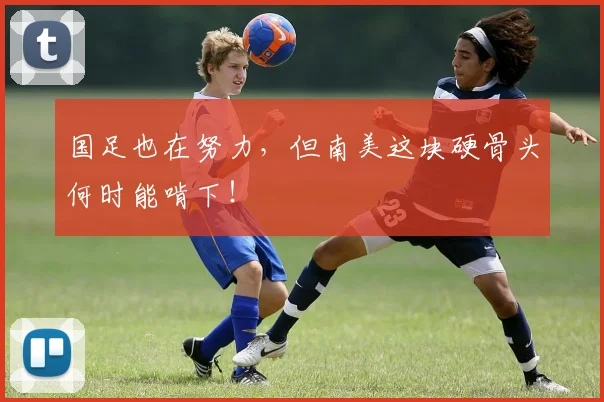 国足也在努力,但南美这块硬骨头何时能啃下!