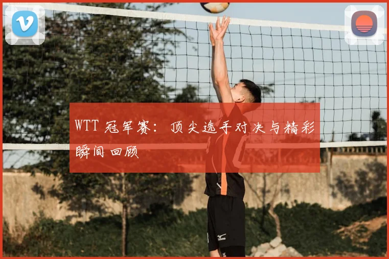 WTT 冠军赛:顶尖选手对决与精彩瞬间回顾